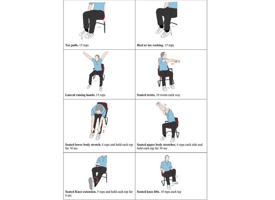 Chair Exercises Hamstring Exercises For Elderly Elderly Seated