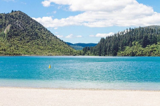 Lake Tikitapu (Blue Lake) Rotorua 3D
