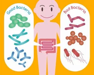 Get Your Gut Bacteria Right