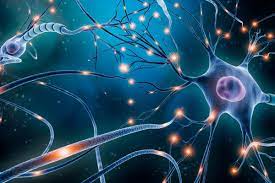 Neuron in MS